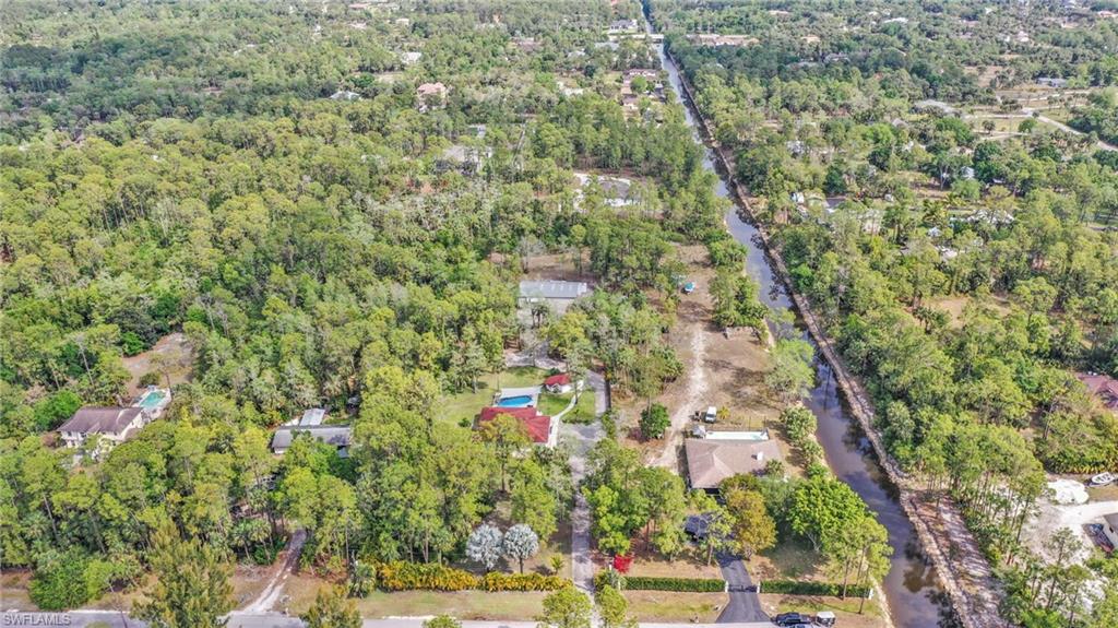 Aerial view of a forest