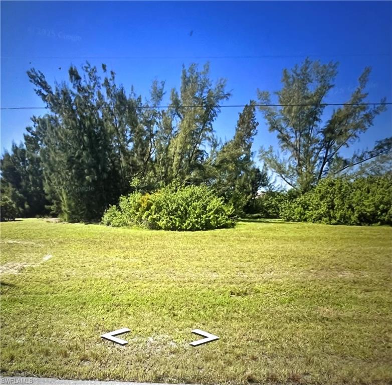 View of grassy yard