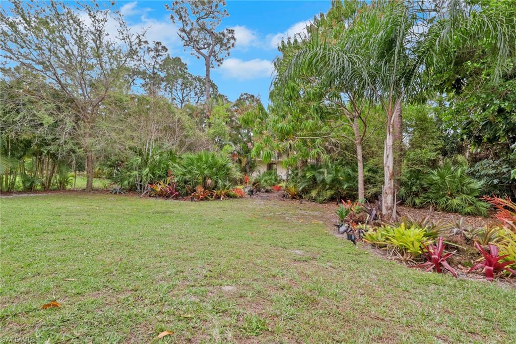 View of oversized privatebackyard