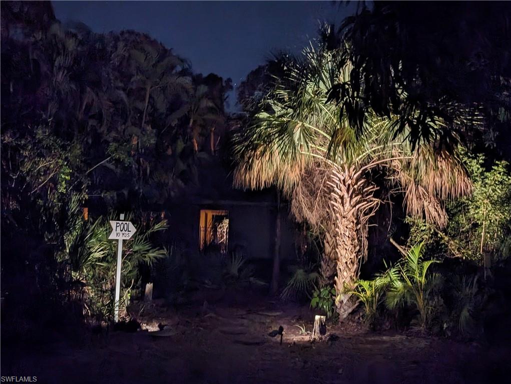 Back Yard at Night