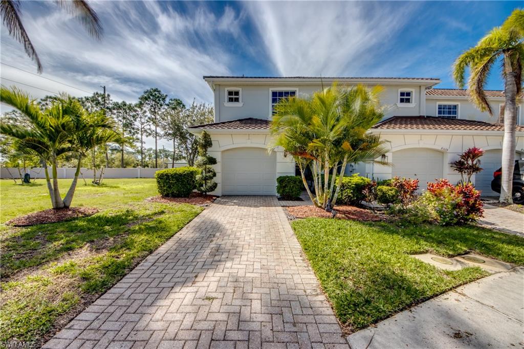 8531 Athena CT