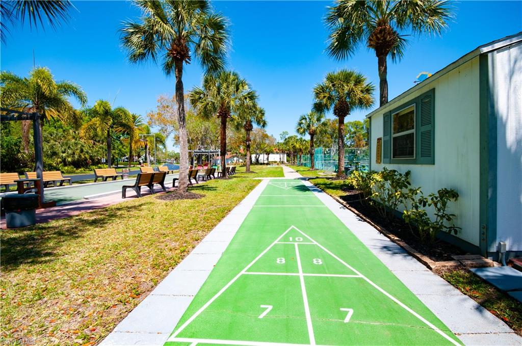 Shuffleboard