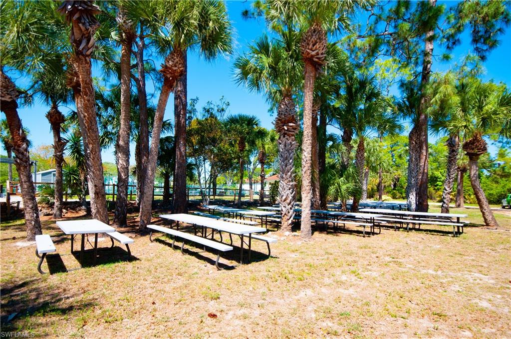 Picnic area