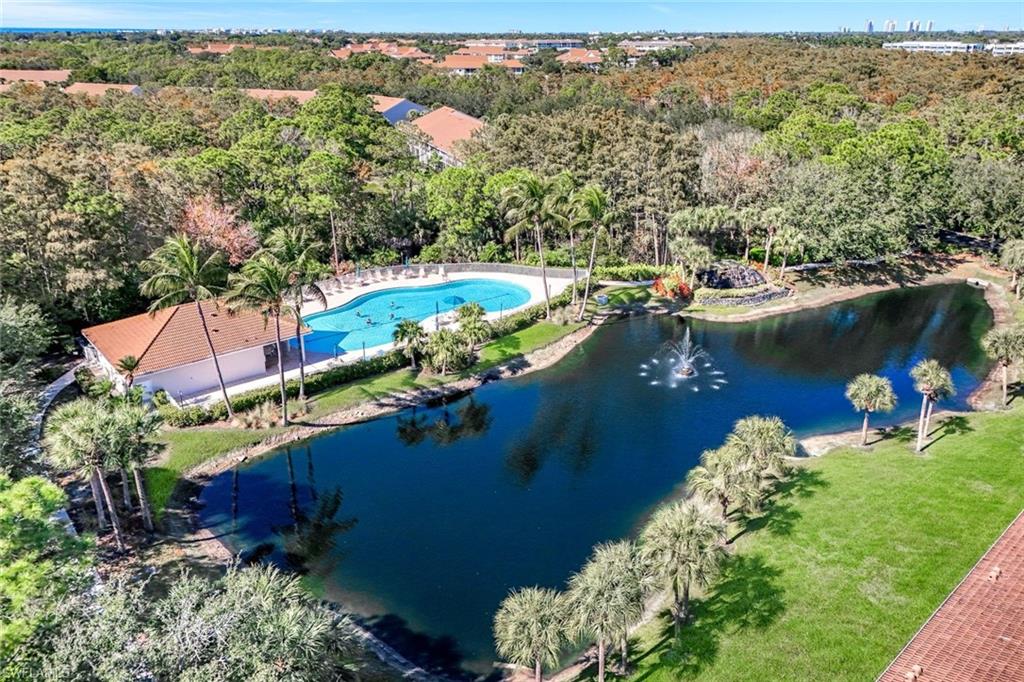 Bird's eye view of community lake and pool area.
