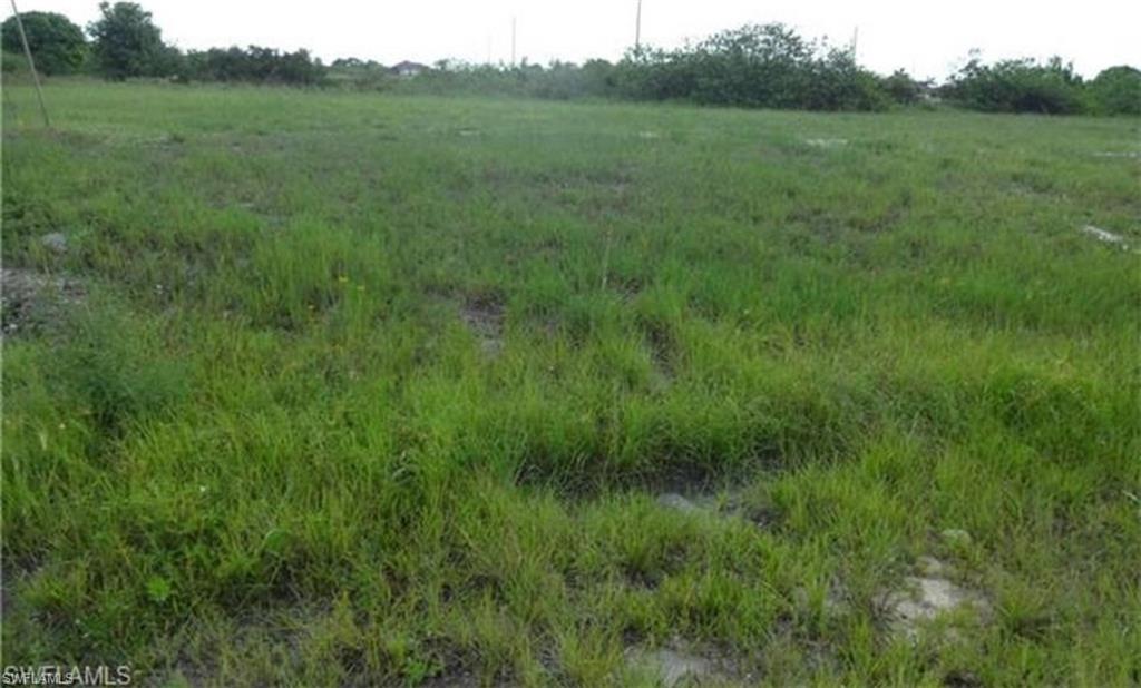 View of local wilderness featuring rural landscape