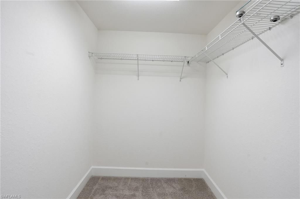 Walk in closet with light colored carpet