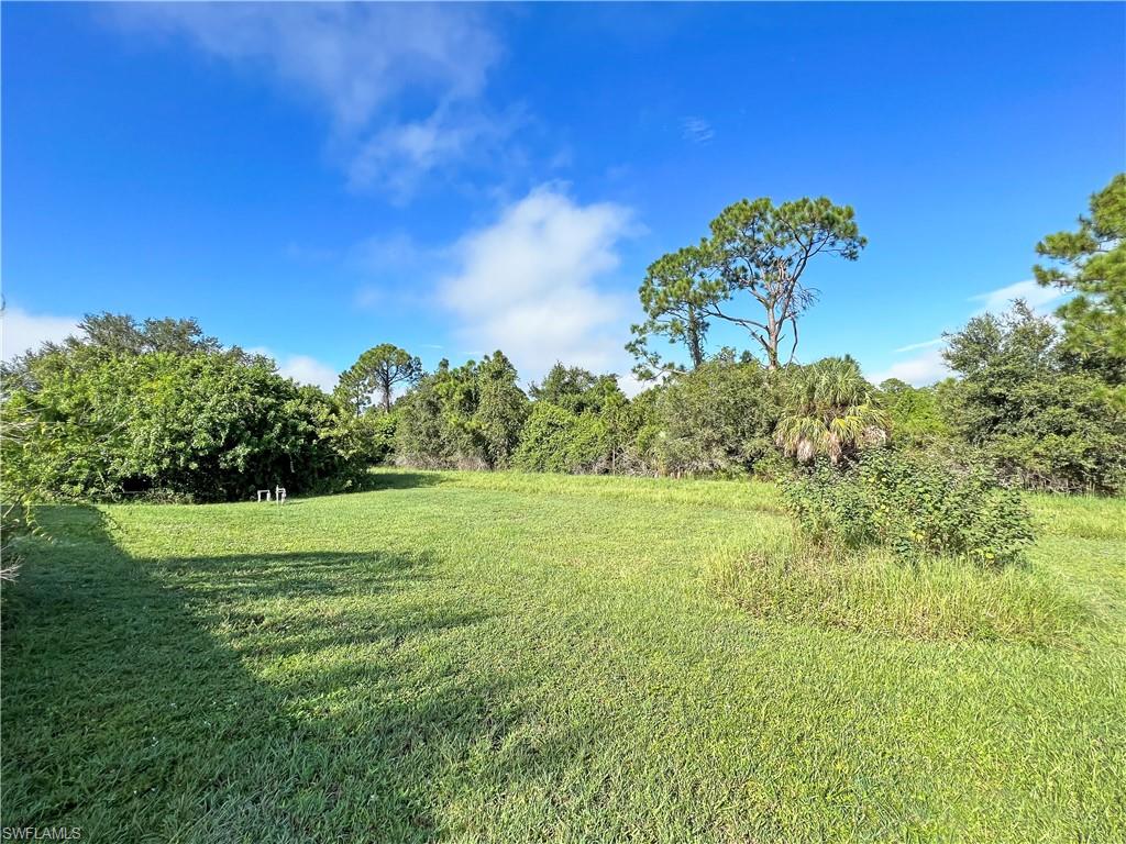 View of backyard