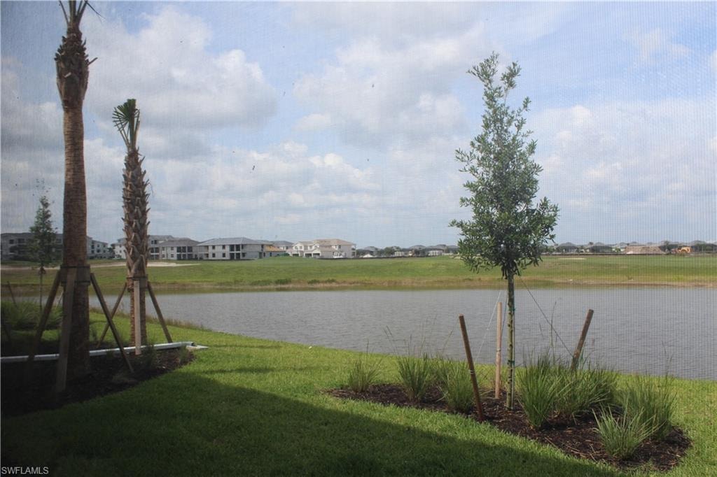 Water view