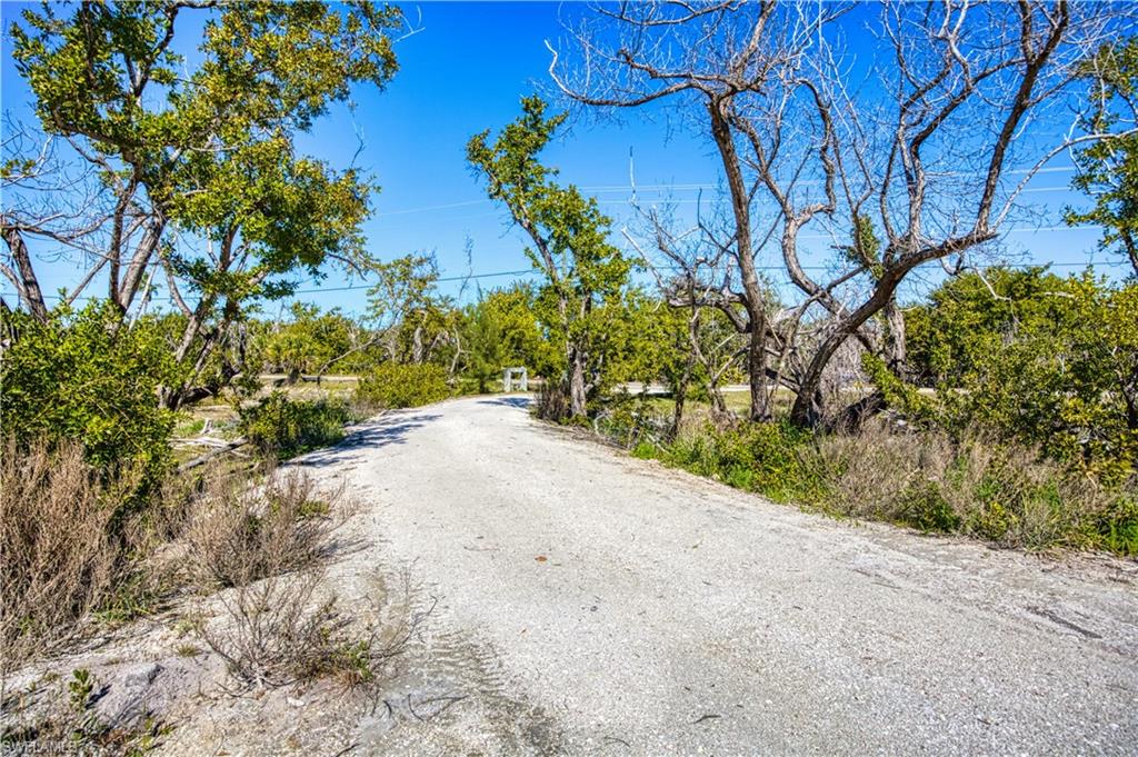 Driveway developed area.