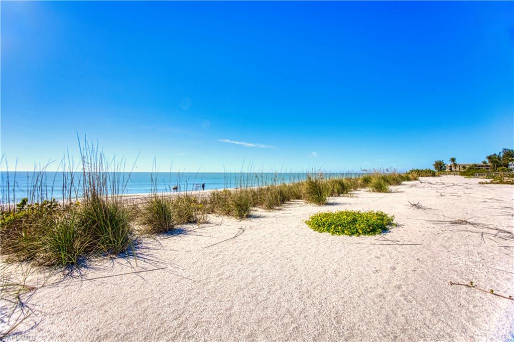Above high tide beach area.