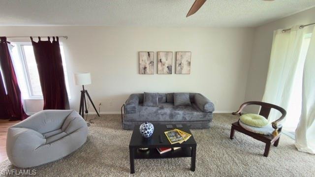 1645 Spoonbill Ln C photo 9