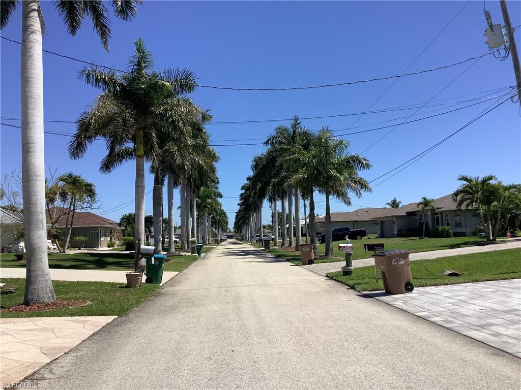 Royal Palm Lined Street