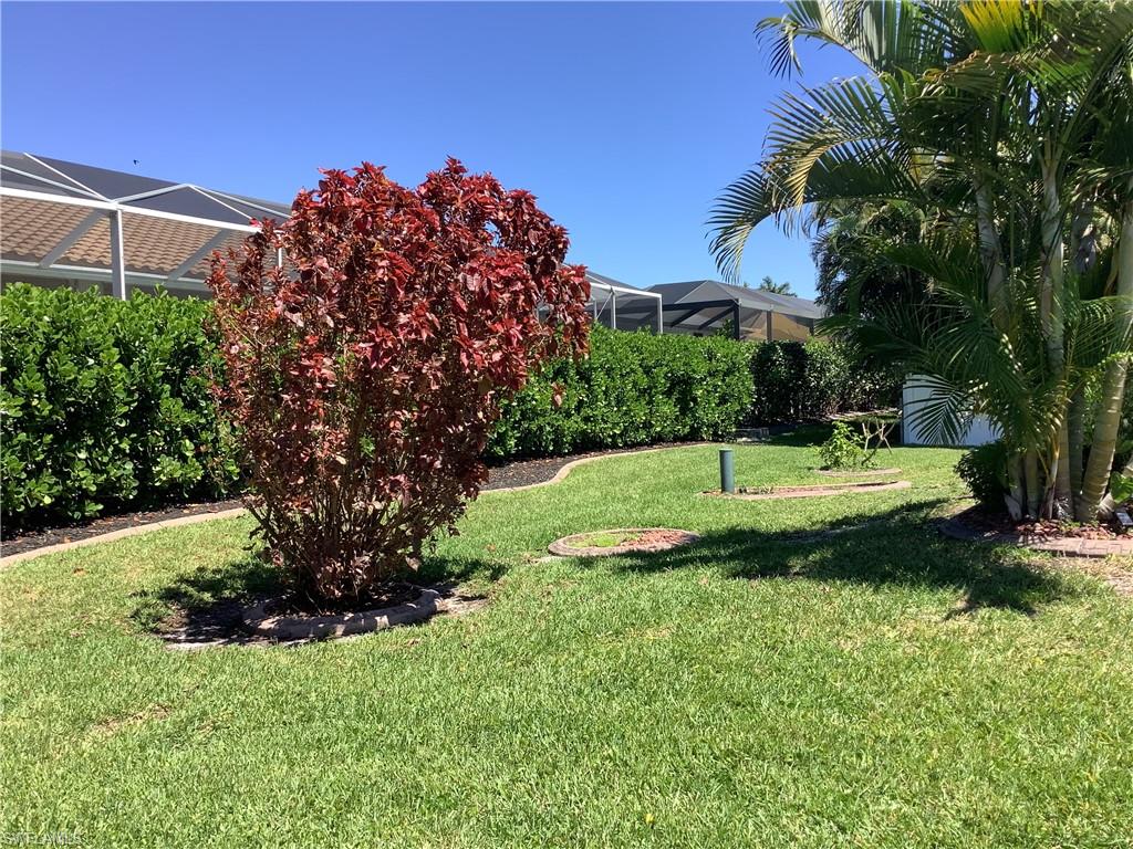 Rear yard