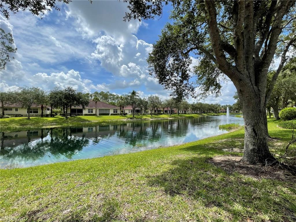 Lake View - Back of Property