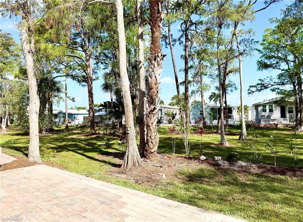 460 Vanda Sanctuary photo 35