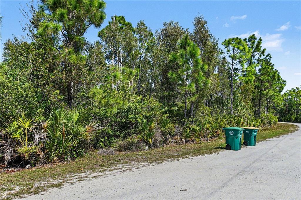 12097 Platano DR photo 6