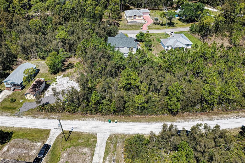 12097 Platano DR photo 7