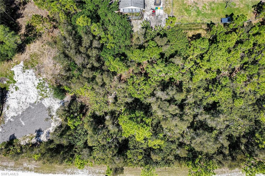 12097 Platano DR photo 10