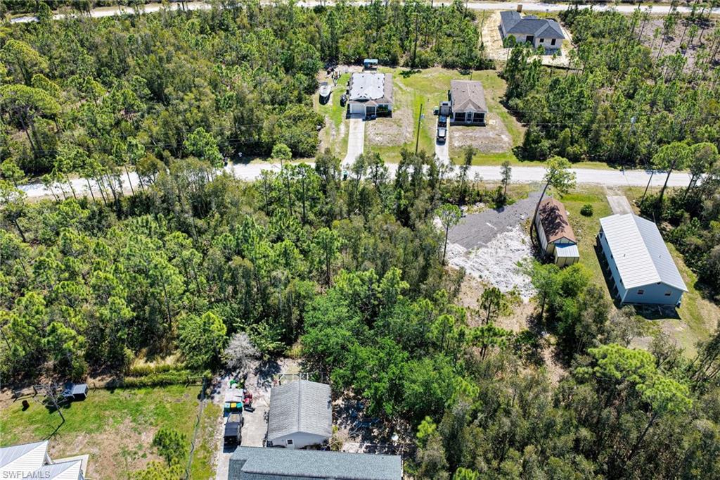 12097 Platano DR photo 8