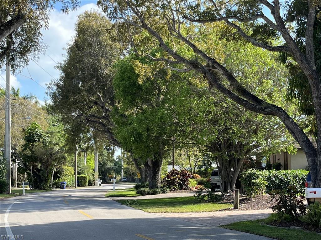 Street view South