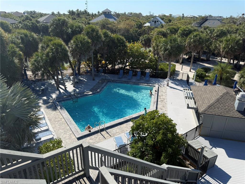 Safety Harbor Pool