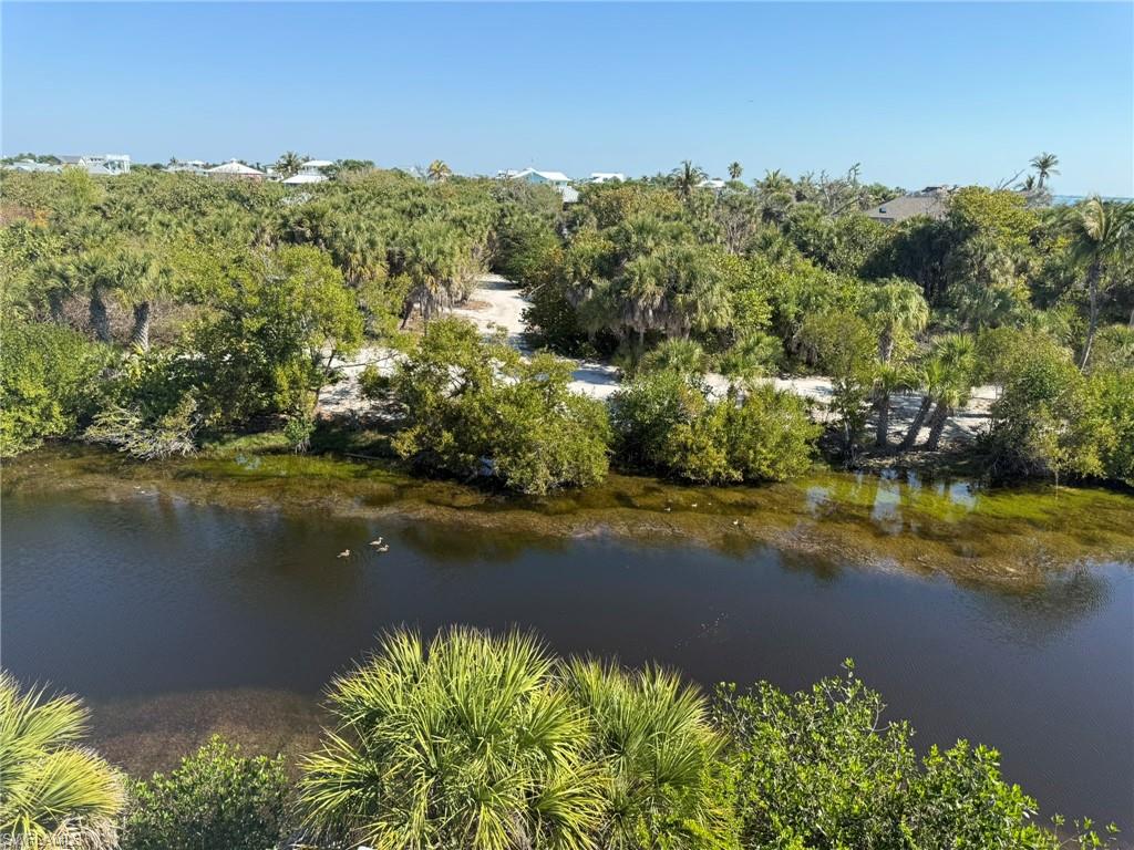 Safety Harbor Lake