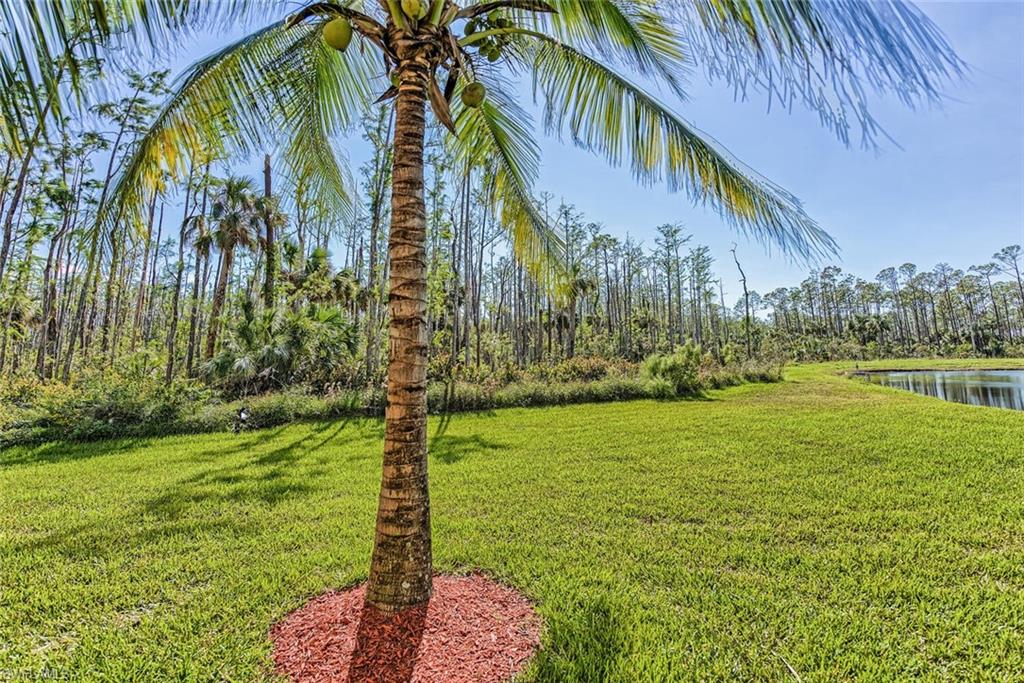 9719 Acqua CT 228 photo 22