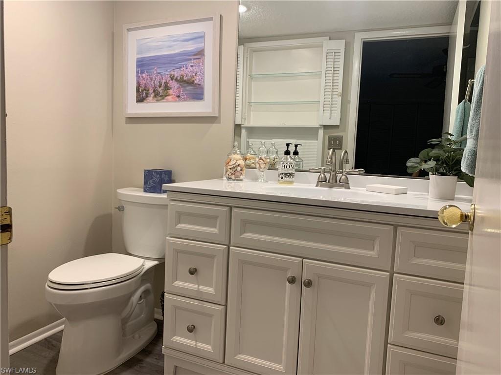 Master bathroom featuring vanity, wood-type flooring, and toilet