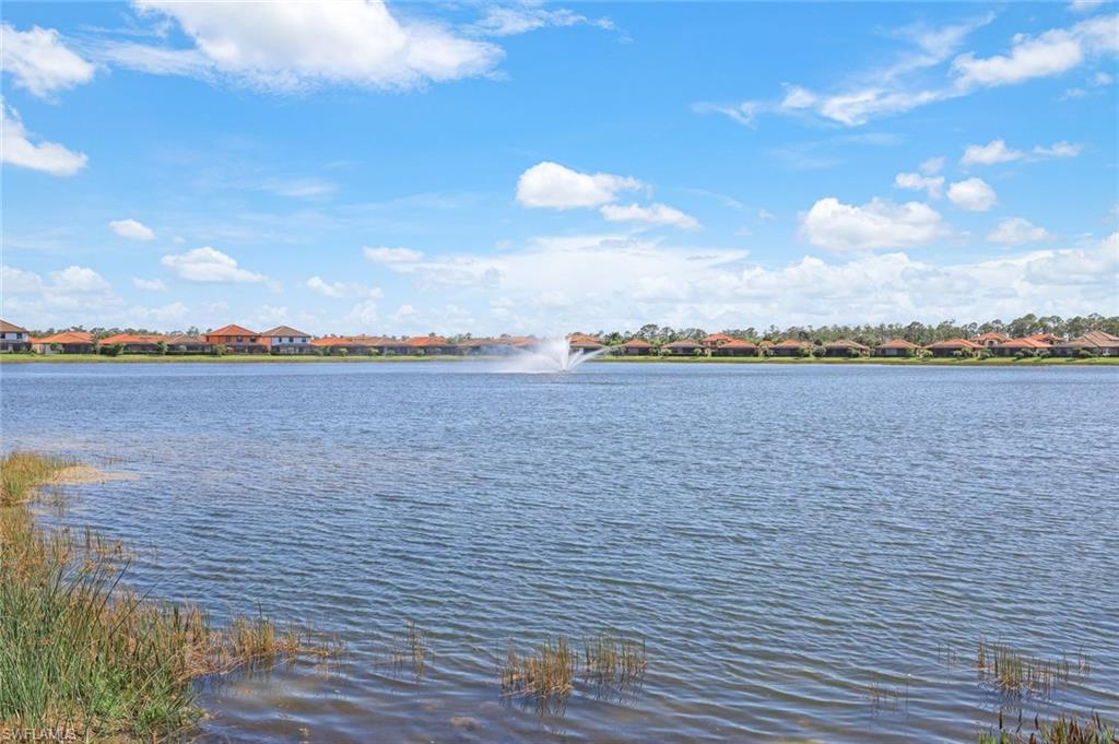 Lake Views