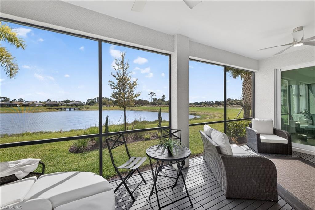 43250 Water Bird WAY 5911 photo 27