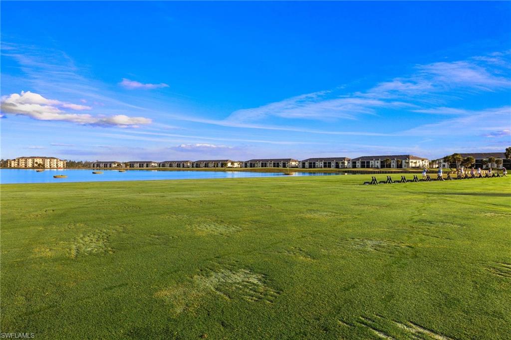 43250 Water Bird WAY 5911 photo 43