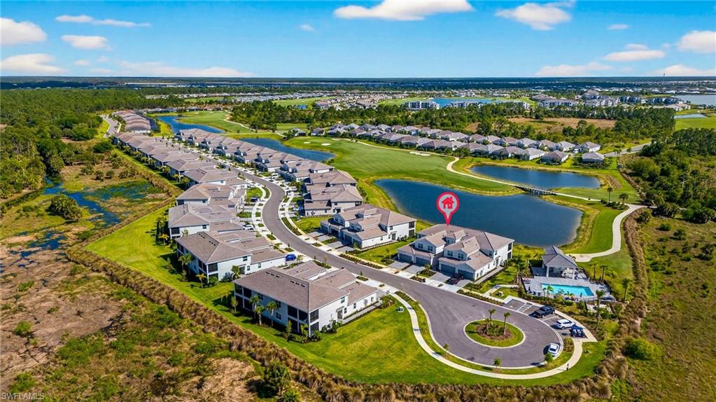 43250 Water Bird WAY 5911 photo 32