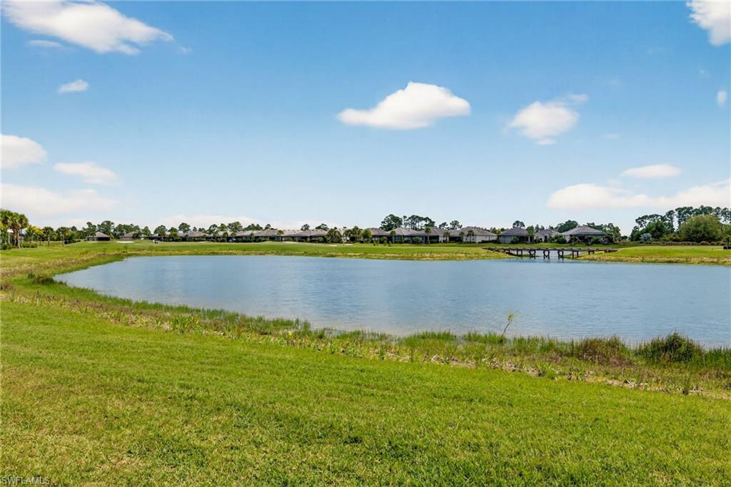 43250 Water Bird WAY 5911 photo 28