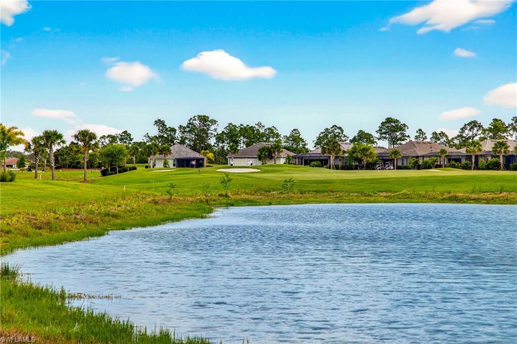 43250 Water Bird WAY 5911 photo 30