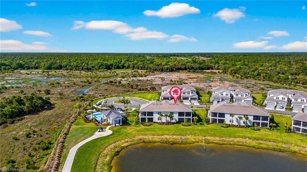 43250 Water Bird WAY 5911 photo 34