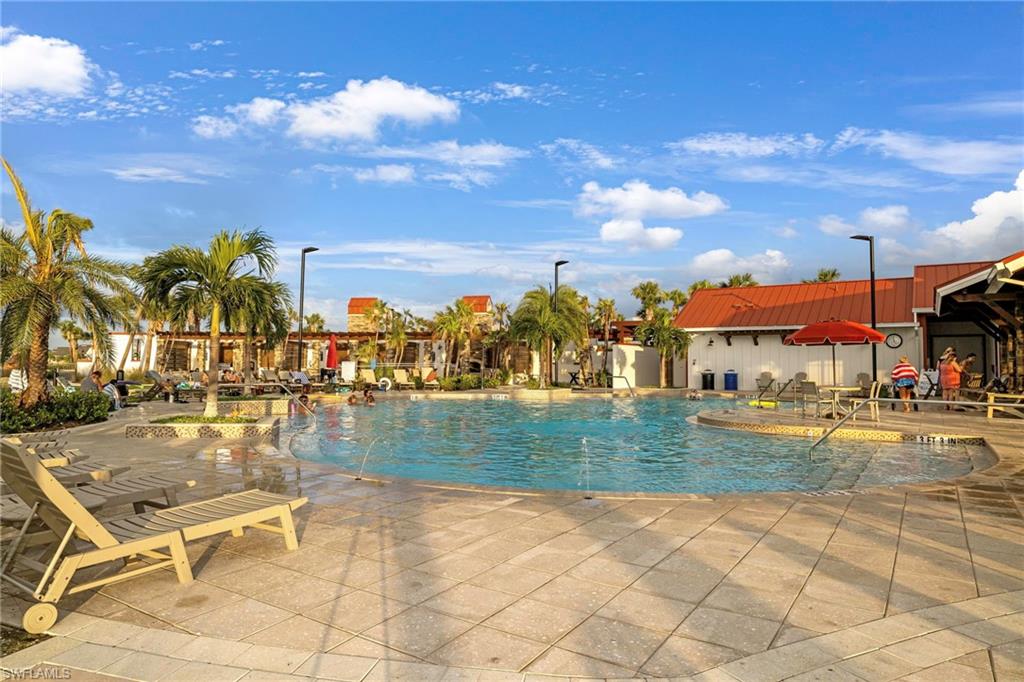 43250 Water Bird WAY 5911 photo 49