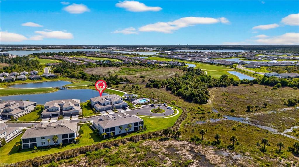 43250 Water Bird WAY 5911 photo 33