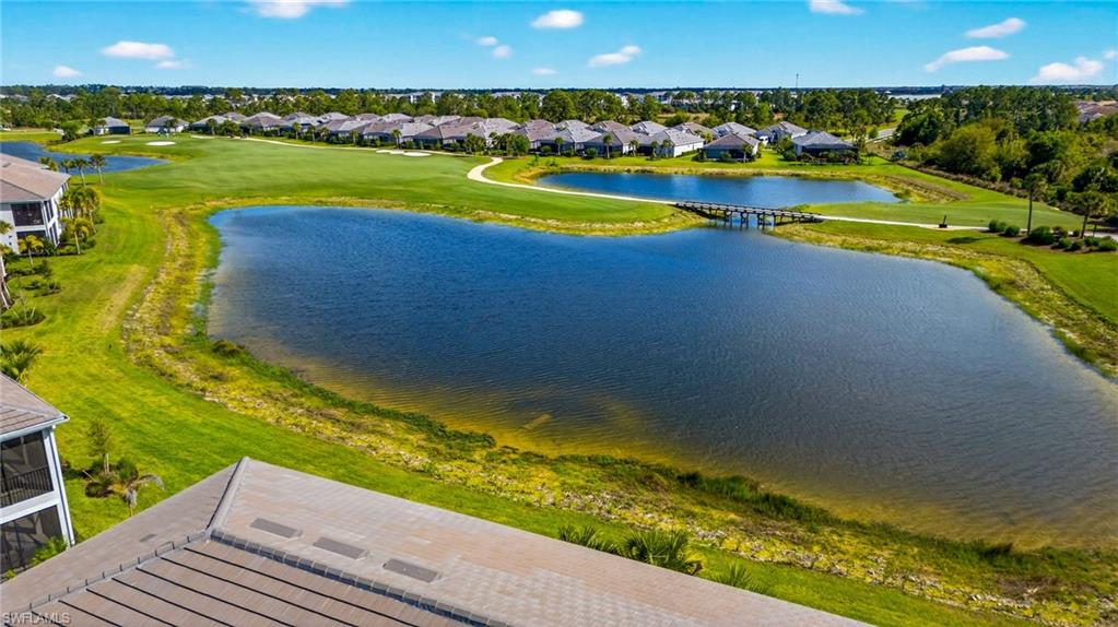 43250 Water Bird WAY 5911 photo 35