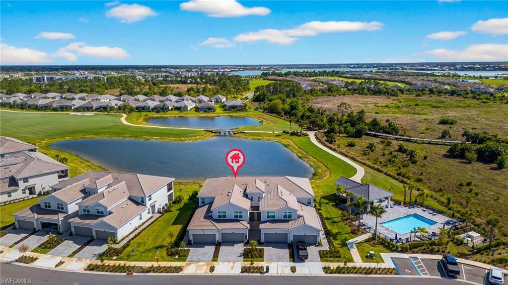 43250 Water Bird WAY 5911 photo 31