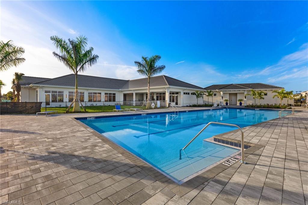 43250 Water Bird WAY 5911 photo 39