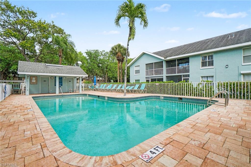 153 Wading Bird CIR J201 photo 32