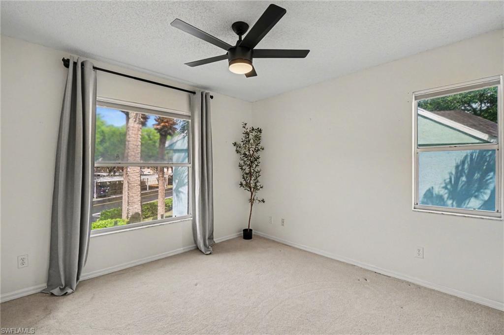 153 Wading Bird CIR J201 photo 20