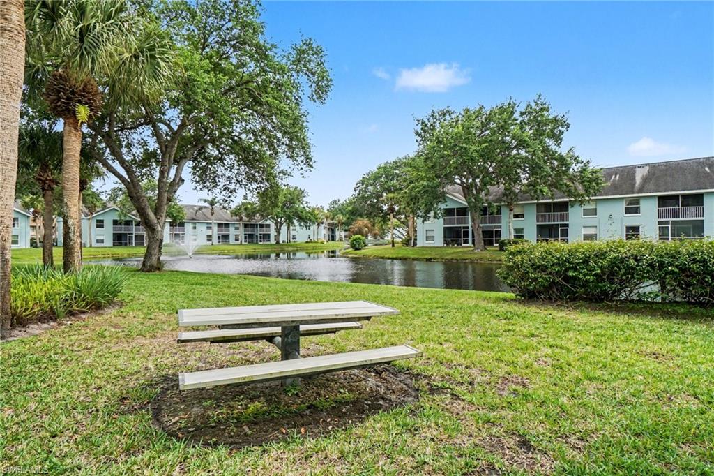 153 Wading Bird CIR J201 photo 30