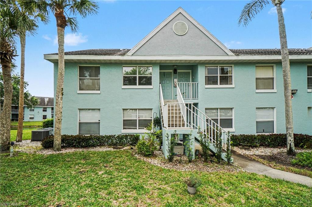 153 Wading Bird CIR J201 photo 34