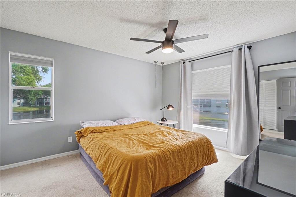 153 Wading Bird CIR J201 photo 15