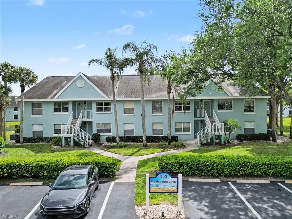 153 Wading Bird CIR J201 photo 35