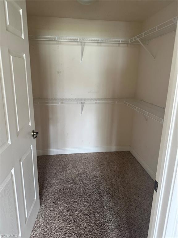 3939 Pomodoro CIR 102 photo 8