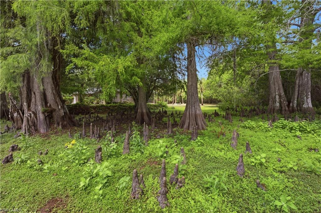 5681 Bur Oaks LN photo 7