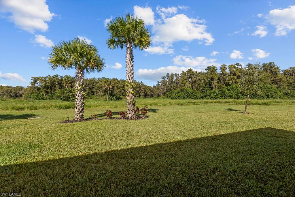 5931 Mayflower WAY photo 9