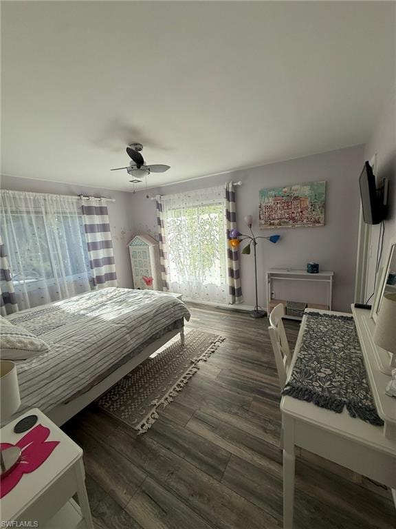 9968 Ortega LN photo 37